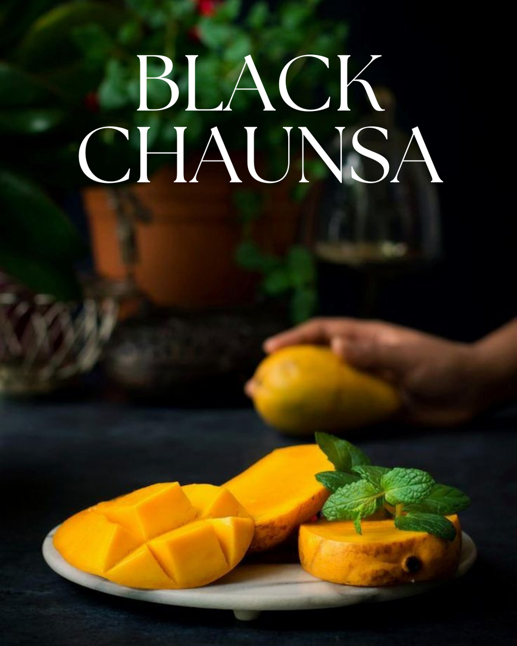 BLACK CHAUNSA