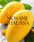 MAUSMI CHAUNSA